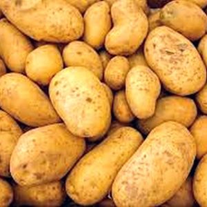 Wash White Potatoes x 25kg